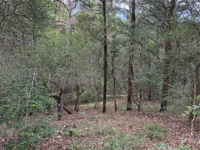 Property photo 3 at Lot 294 Aka CT - Tahitian Village,, Bastrop, TX