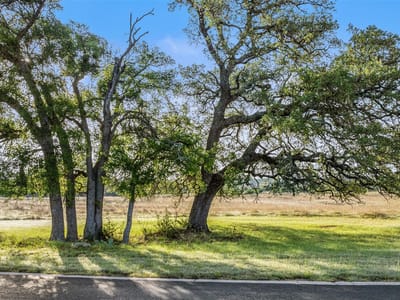 Primary bedroom at Lot 3 & 4 Vista Ridge Dr - The Vistas at Round Mountain, Round Mountain, TX