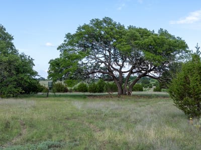 Primary bedroom at Lot 3 Bluestem LN - Buffalo Pass, Lampasas, TX