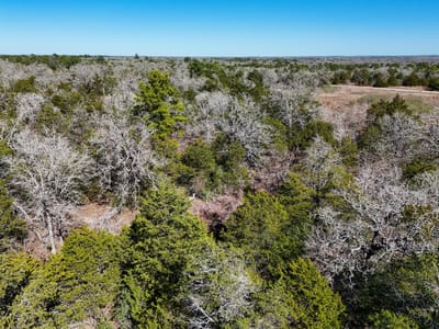 Property photo 2 at Lot 3 South Old Potato RD - Smith, Charles S, Paige, TX