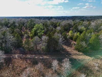 Property photo 3 at Lot 3 South Old Potato RD - Smith, Charles S, Paige, TX