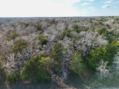 Property photo 4 at Lot 3 South Old Potato RD - Smith, Charles S, Paige, TX