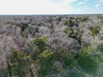 Property photo 5 at Lot 3 South Old Potato RD - Smith, Charles S, Paige, TX
