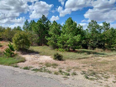 Photo 2 - Lot 3 Tall Forest DR Photo 2 of 26 at Lot 3 Tall Forest DR - Bastrop, Bastrop, TX