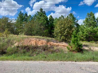 Photo 3 - Lot 3 Tall Forest DR Photo 3 of 26 at Lot 3 Tall Forest DR - Bastrop, Bastrop, TX
