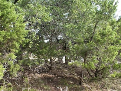 Primary bedroom at Lot 31 Panorama Dr - Hill Creek West, Dripping Springs, TX