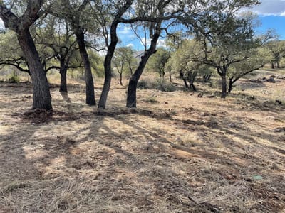 Primary bedroom at Lot 33 & Lot 34 Prince Peak St - Castle Terrace, Cottonwood Shores, TX