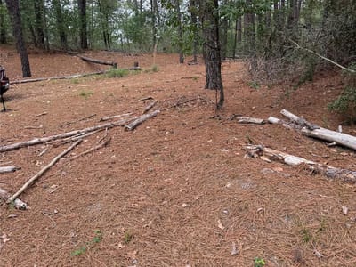 Living area at Lot 35 Tanglewood Dr - Pine Forest, Bastrop, TX