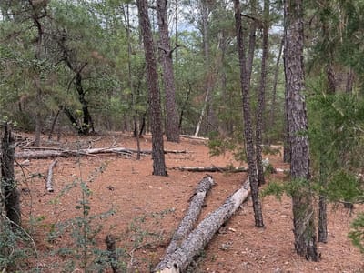 Primary bedroom at Lot 35 Tanglewood Dr - Pine Forest, Bastrop, TX