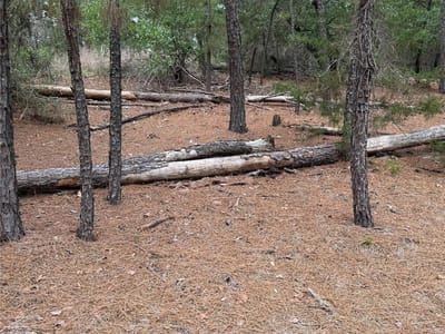 Bathroom at Lot 35 Tanglewood Dr - Pine Forest, Bastrop, TX