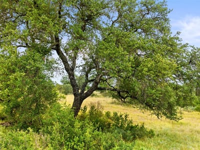 Primary bedroom at Lot 37 Vista Ridge Dr - The Vistas at Round Mountain, Round Mountain, TX