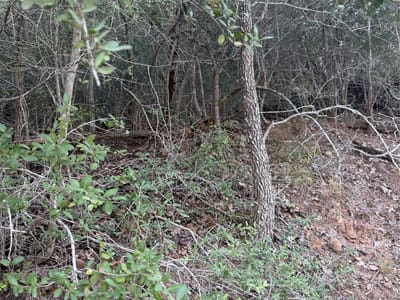 Photo 2 of 7 at Lot 376 Palikea CIR - Bastrop, Bastrop, TX