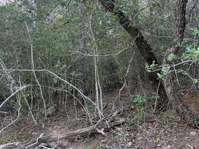Photo 3 of 7 at Lot 376 Palikea CIR - Bastrop, Bastrop, TX