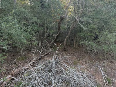 Photo 4 of 7 at Lot 376 Palikea CIR - Bastrop, Bastrop, TX
