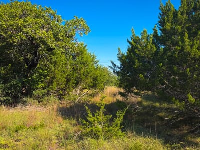 Property photo 5 at Lot 380 S Calvin Barrett RD - Rockin J Ranch, Blanco, TX