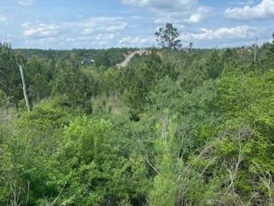 Living area at Lot 4 Kainalu Ln - Pine Forest Unit 9 Ph III, Bastrop, TX