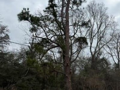 Primary bedroom at Lot 4 Yaupon Dr - Cade Lake Sec 4, Caldwell, TX