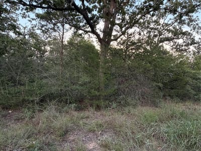 Property photo 2 at Lot 4 Spruce ST - Lincoln Lake Est, Paige, TX