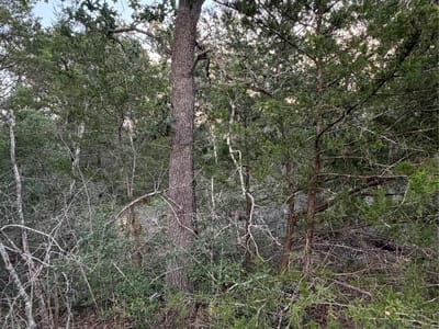 Property photo 3 at Lot 4 Spruce ST - Lincoln Lake Est, Paige, TX