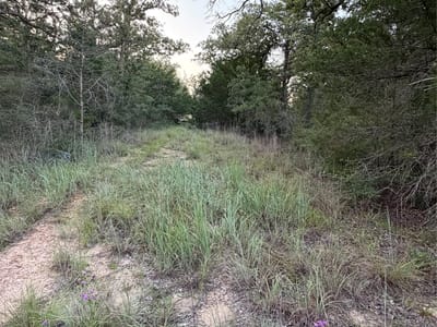 Property photo 4 at Lot 4 Spruce ST - Lincoln Lake Est, Paige, TX