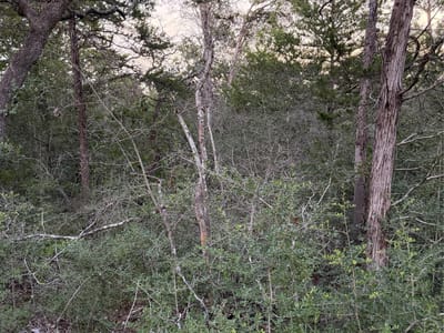 Property photo 5 at Lot 4 Spruce ST - Lincoln Lake Est, Paige, TX