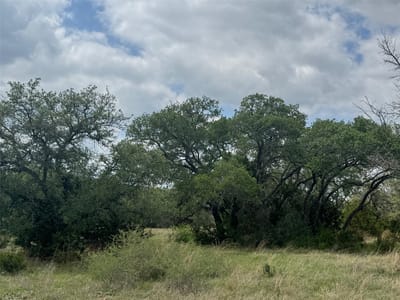 Bathroom at Lot 40 Maverick WAY - Miller Creek, Briggs, TX