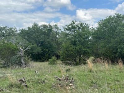 Primary bedroom at Lot 41 Maverick WAY - Miller Creek Ranch, Briggs, TX