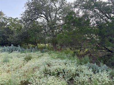 Primary bedroom at Lot 424 & 425 Oakhill Dr - Castle Hills (Sherwood Shores), Granite Shoals, TX
