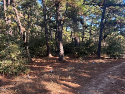 Living area at Lot 43 Pine Lodge Dr - Pine Forest, Bastrop, TX