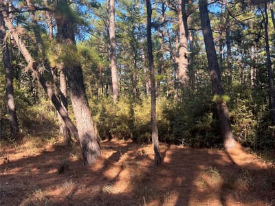 Kitchen at Lot 43 Pine Lodge Dr - Pine Forest, Bastrop, TX