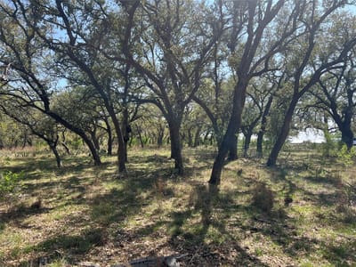 Living area at Lot 43 Waterbuck WAY - Ranches at Blackbuck Ridge, Lampasas, TX