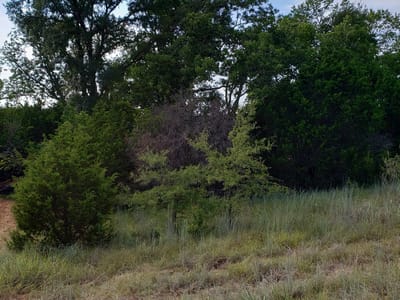 Photo 2 - Lot 44 County Road 3640 Photo 2 of 10 at Lot 44 County Road 3640 - Lampasas, Lampasas, TX