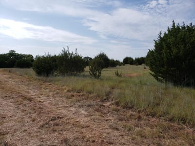 Photo 3 - Lot 44 County Road 3640 Photo 3 of 10 at Lot 44 County Road 3640 - Lampasas, Lampasas, TX