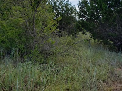 Photo 4 - Lot 44 County Road 3640 Photo 4 of 10 at Lot 44 County Road 3640 - Lampasas, Lampasas, TX
