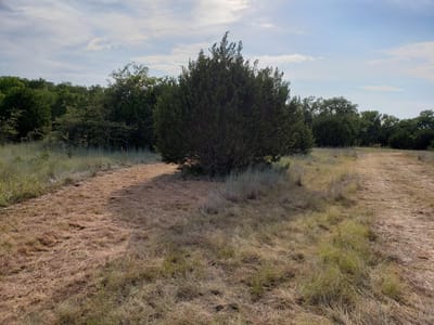 Photo 5 - Lot 44 County Road 3640 Photo 5 of 10 at Lot 44 County Road 3640 - Lampasas, Lampasas, TX