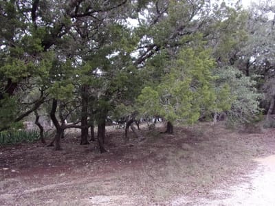 Living area at Lot 46 Mountain Wood - Hancock Oak Hills, Canyon Lake, TX