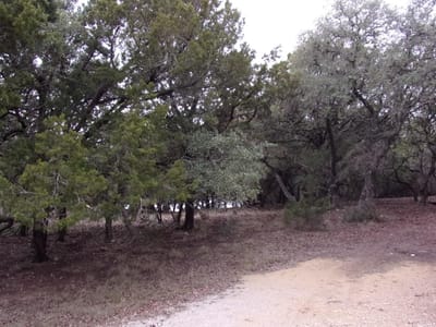 Kitchen at Lot 46 Mountain Wood - Hancock Oak Hills, Canyon Lake, TX