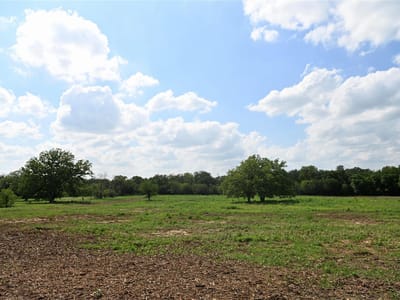 Primary bedroom at Lot 5 Valley Creek DR - Valley Creek Ranches, Cedar Creek, TX