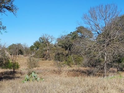 Kitchen at Lot 50 Pristine Pass - The Cliffs At Water Ridge, Buchanan Dam, TX