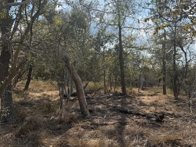 Photo 2 - Lot 539 Kaaawa LN Photo 2 of 6 at Lot 539 Kaaawa LN - Bastrop, Bastrop, TX