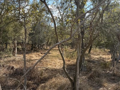 Photo 3 - Lot 539 Kaaawa LN Photo 3 of 6 at Lot 539 Kaaawa LN - Bastrop, Bastrop, TX