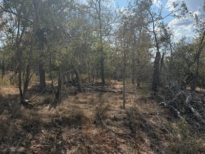 Photo 4 - Lot 539 Kaaawa LN Photo 4 of 6 at Lot 539 Kaaawa LN - Bastrop, Bastrop, TX