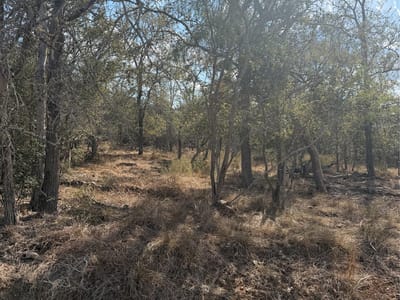 Photo 5 - Lot 539 Kaaawa LN Photo 5 of 6 at Lot 539 Kaaawa LN - Bastrop, Bastrop, TX