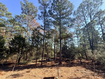 Living area at Lot 59 S. Hill Ridge Rd - Lake Bastrop Pines, Bastrop, TX