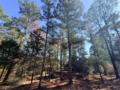 Kitchen at Lot 59 S. Hill Ridge Rd - Lake Bastrop Pines, Bastrop, TX