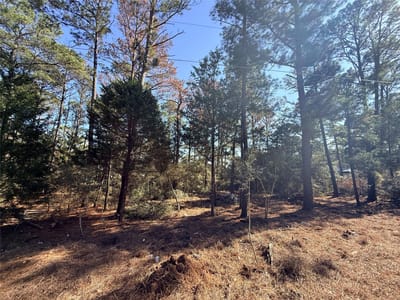 Primary bedroom at Lot 59 S. Hill Ridge Rd - Lake Bastrop Pines, Bastrop, TX