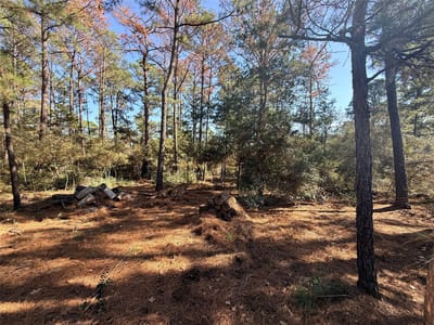 Bathroom at Lot 59 S. Hill Ridge Rd - Lake Bastrop Pines, Bastrop, TX