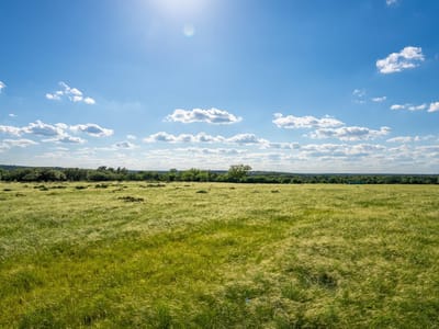 Primary bedroom at Lot 6 Cattle TRL - River Hills Ranches, Kempner, TX