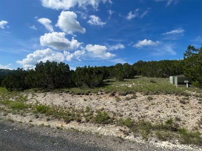 Primary bedroom at Lot 652 Wagon Wheel TRL - Whitewater Springs, Bertram, TX