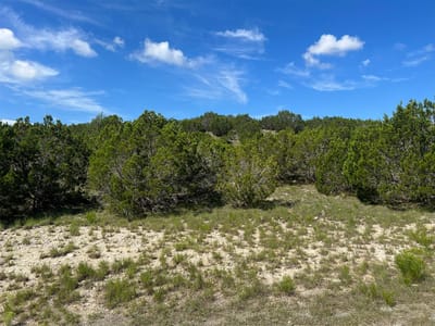 Bathroom at Lot 652 Wagon Wheel TRL - Whitewater Springs, Bertram, TX